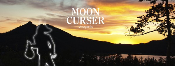 Moon Curser banner