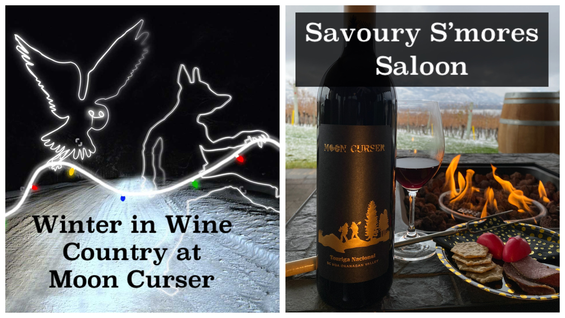 Winter in Wine Country at Moon Curser